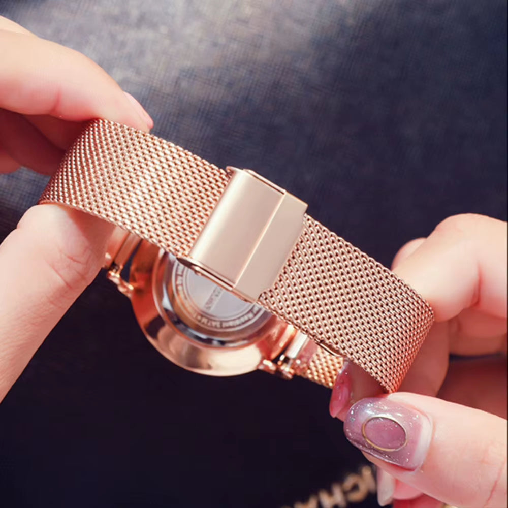 Top Brand Luxury Watches Women Stainless Steel Mesh Belt Watch Japan Quartz Movement Clock Ladies Wrist Watch